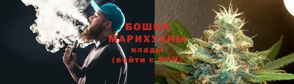 PSILOCYBIN Балабаново