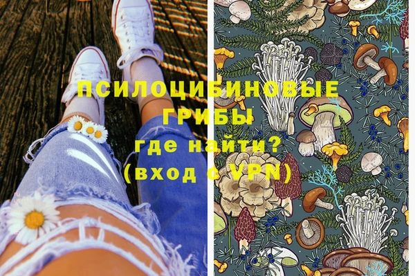 PSILOCYBIN Балабаново