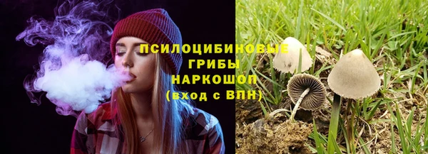 стаф Беломорск