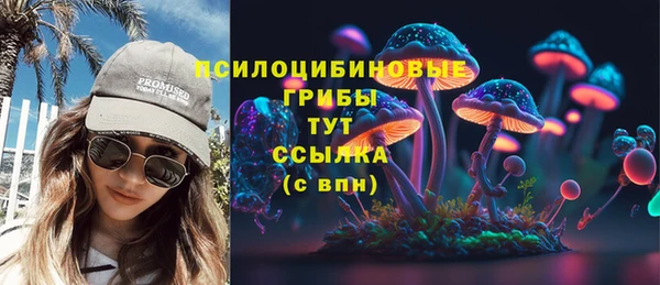 стаф Беломорск
