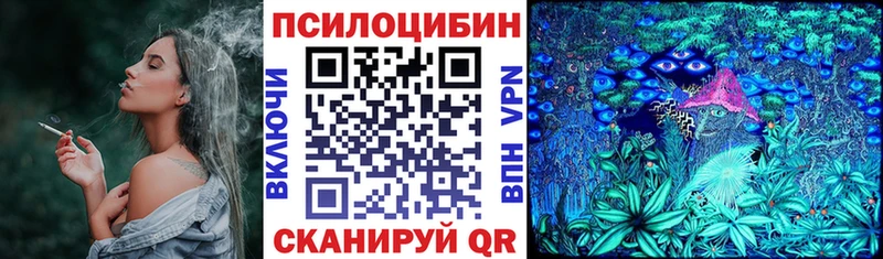 маркетплейс наркотические препараты  Киселёвск  Псилоцибиновые грибы Magic Shrooms  хочу наркоту 